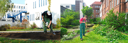 Gartenpflege