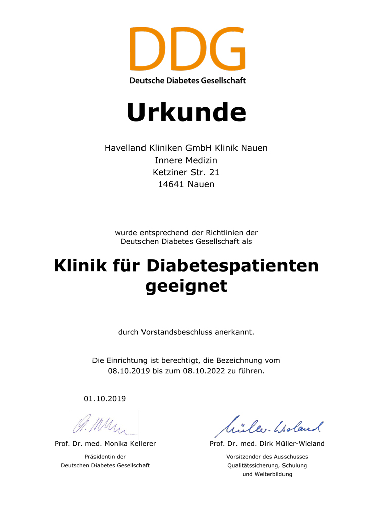 DDG Urkunde 2019