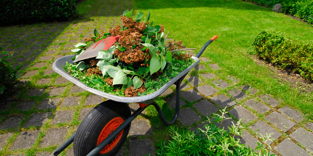 Gartenpflege und Winterdienst